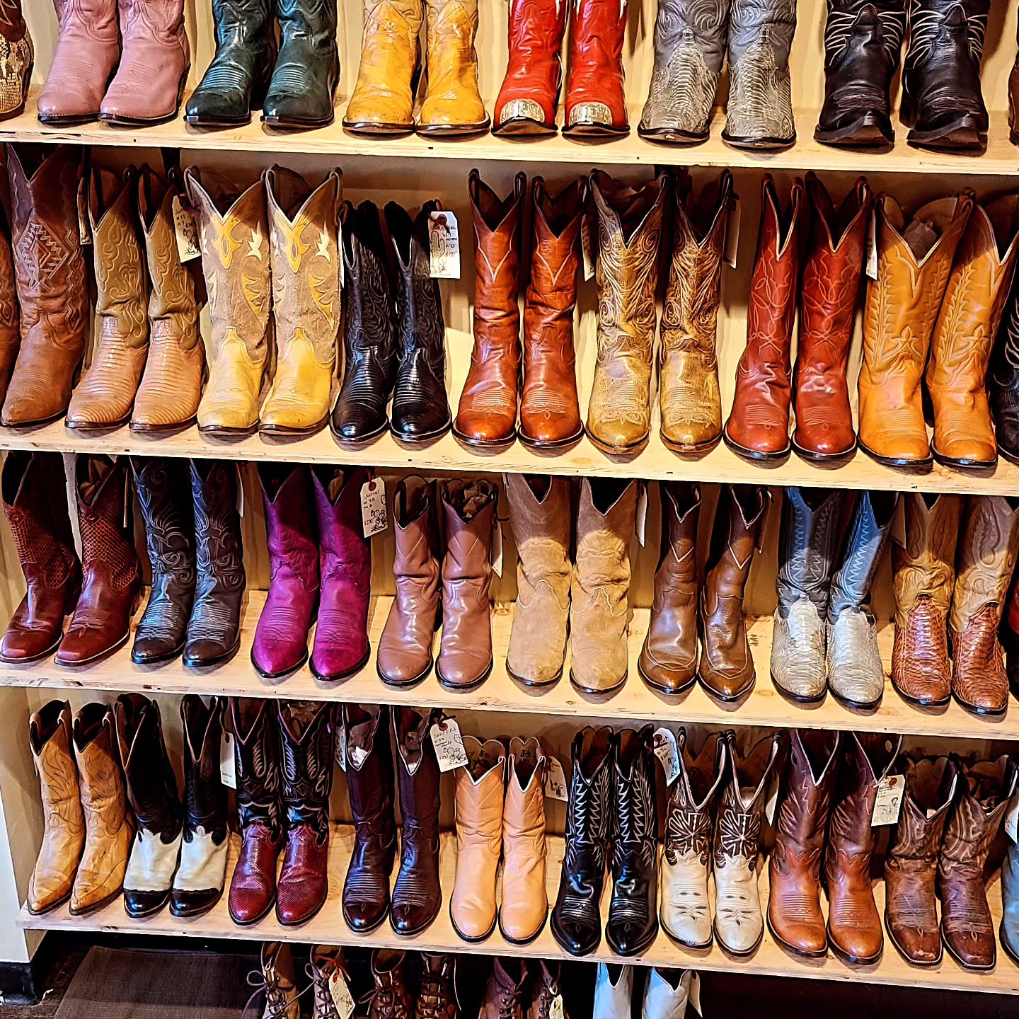 Colorful vintage cowboys boots on shelves