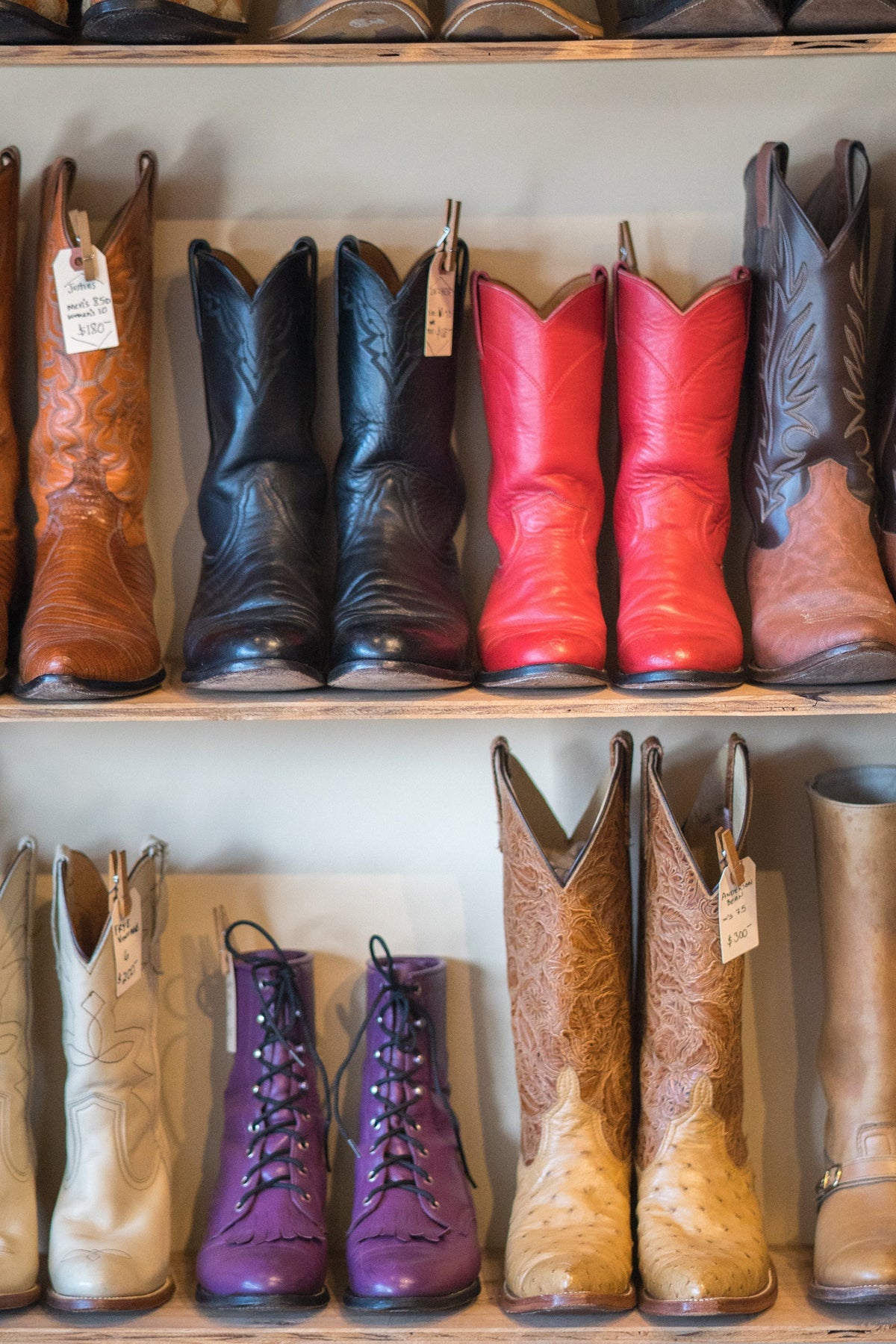 Black, Red, Purple, and brown cowboy boots lined up on a shelf