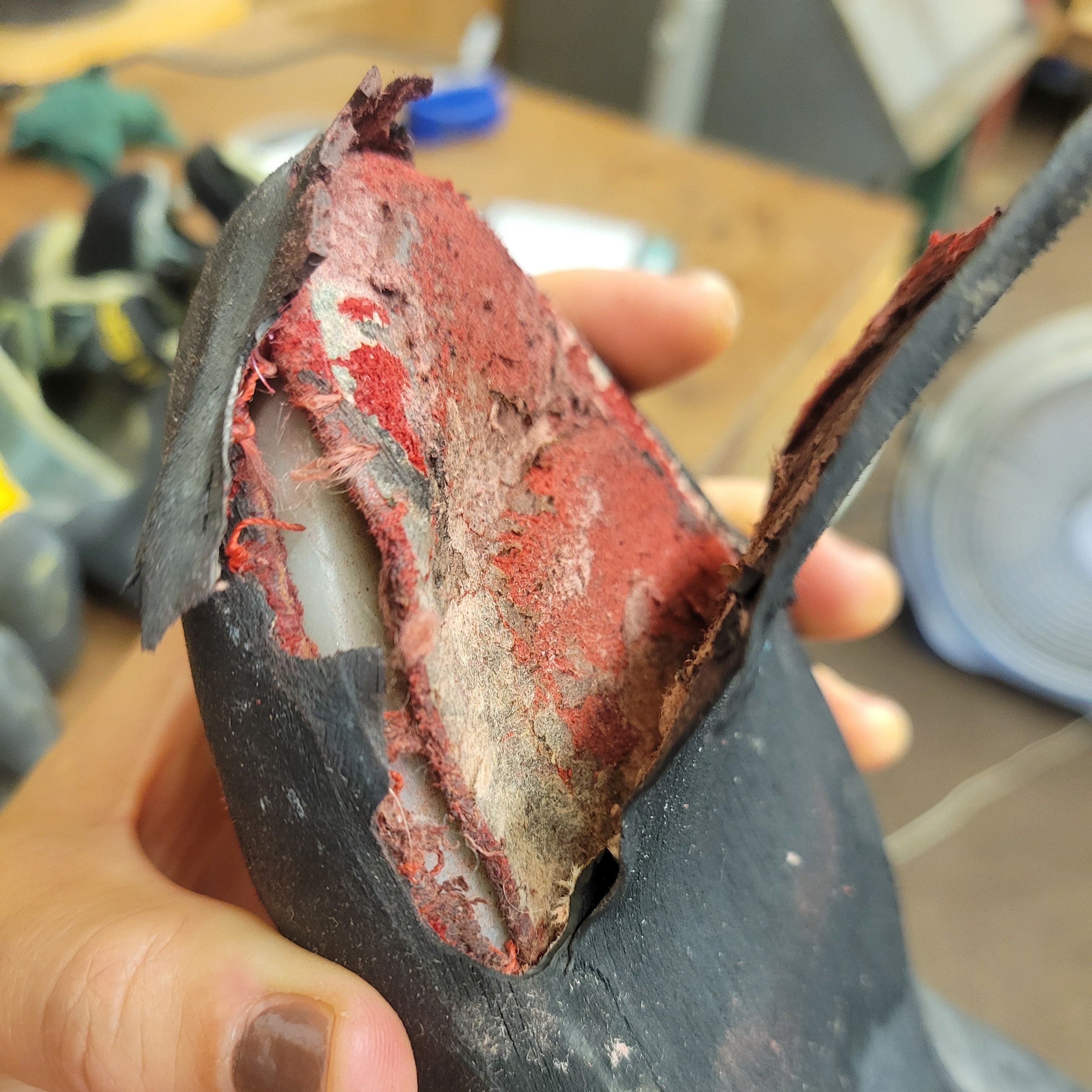 A taken apart climbing shoe that shows the leather inside is torn and thin.